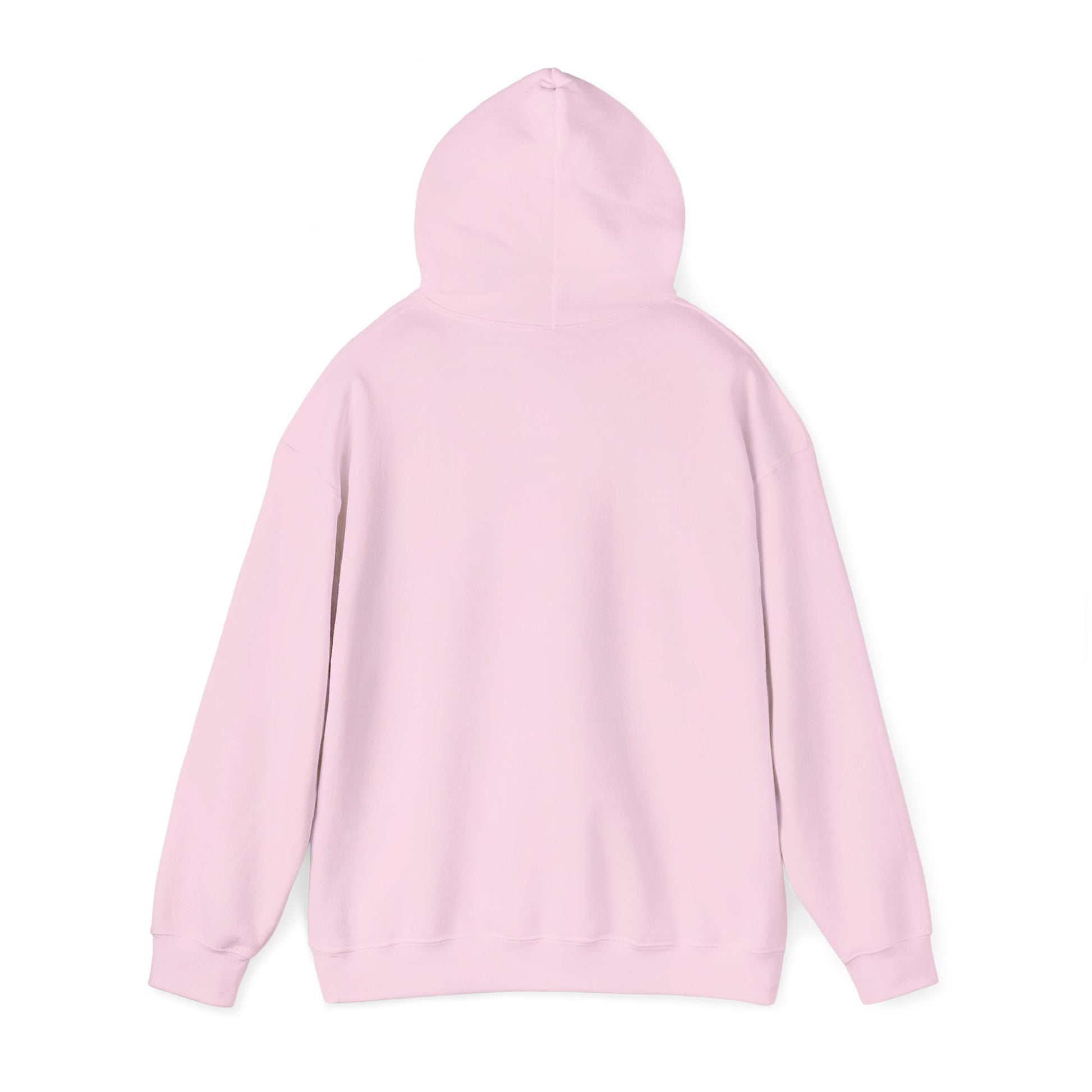 Unisex Legacy Hooded Sweatshirt
