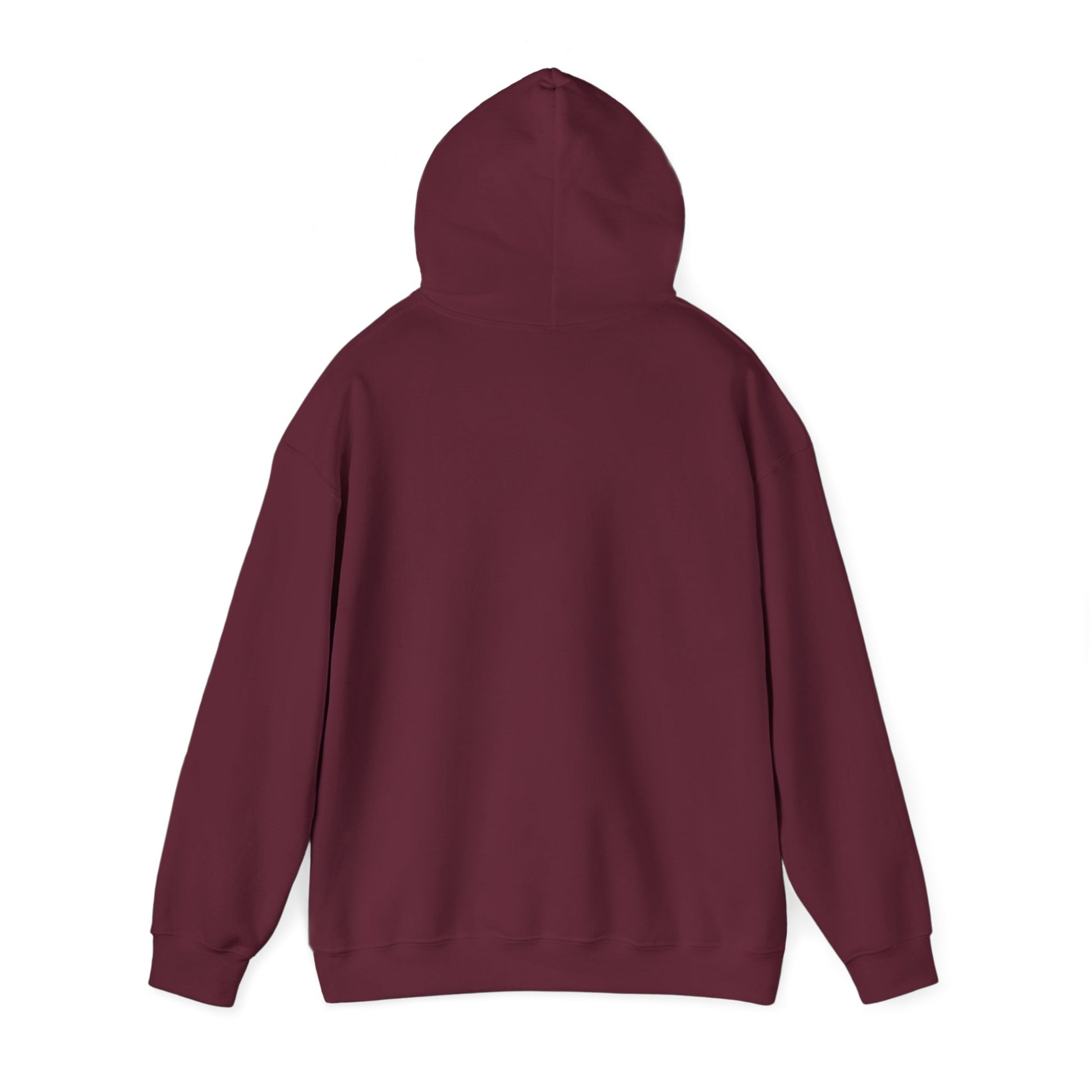Unisex Legacy Hooded Sweatshirt