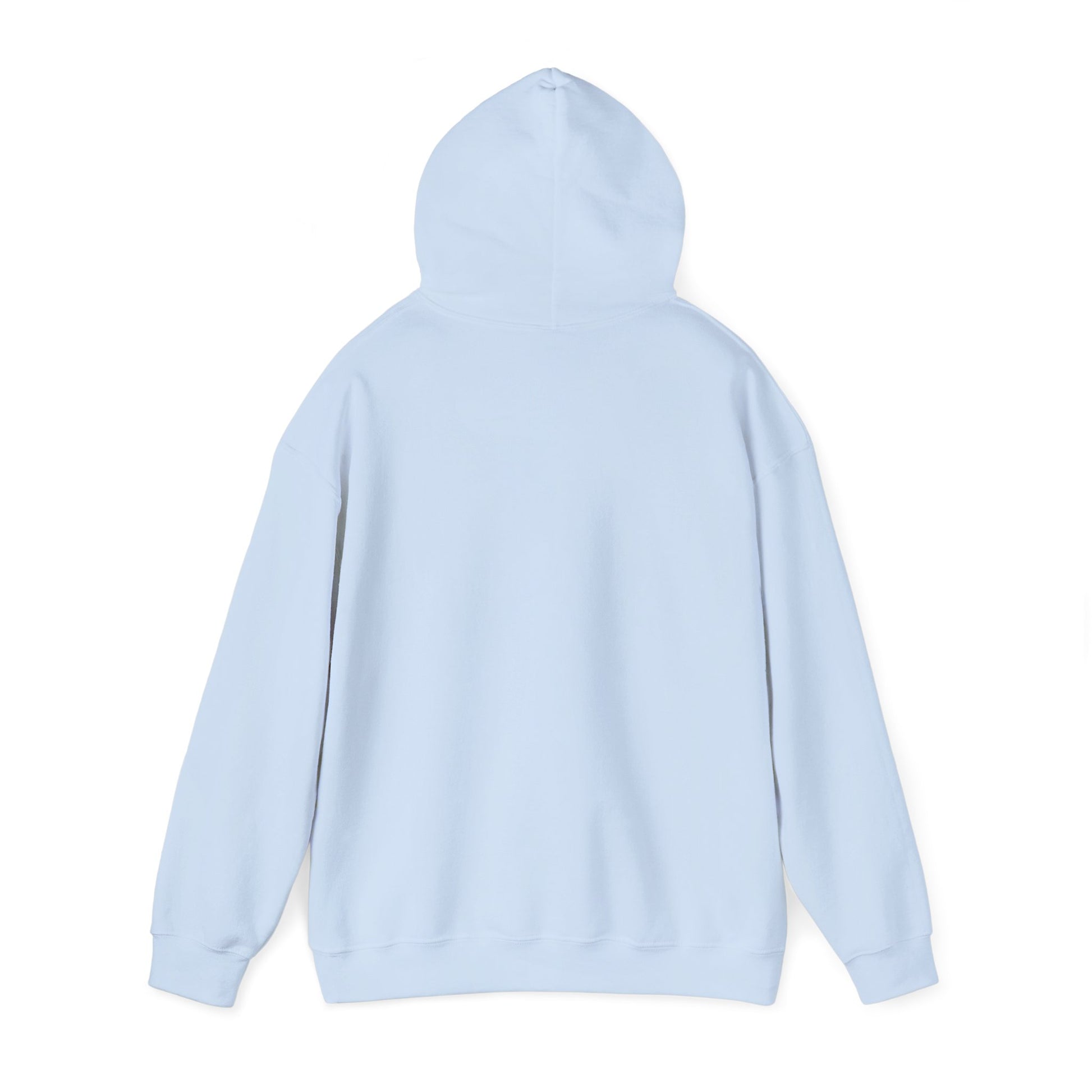 Unisex Legacy Hooded Sweatshirt